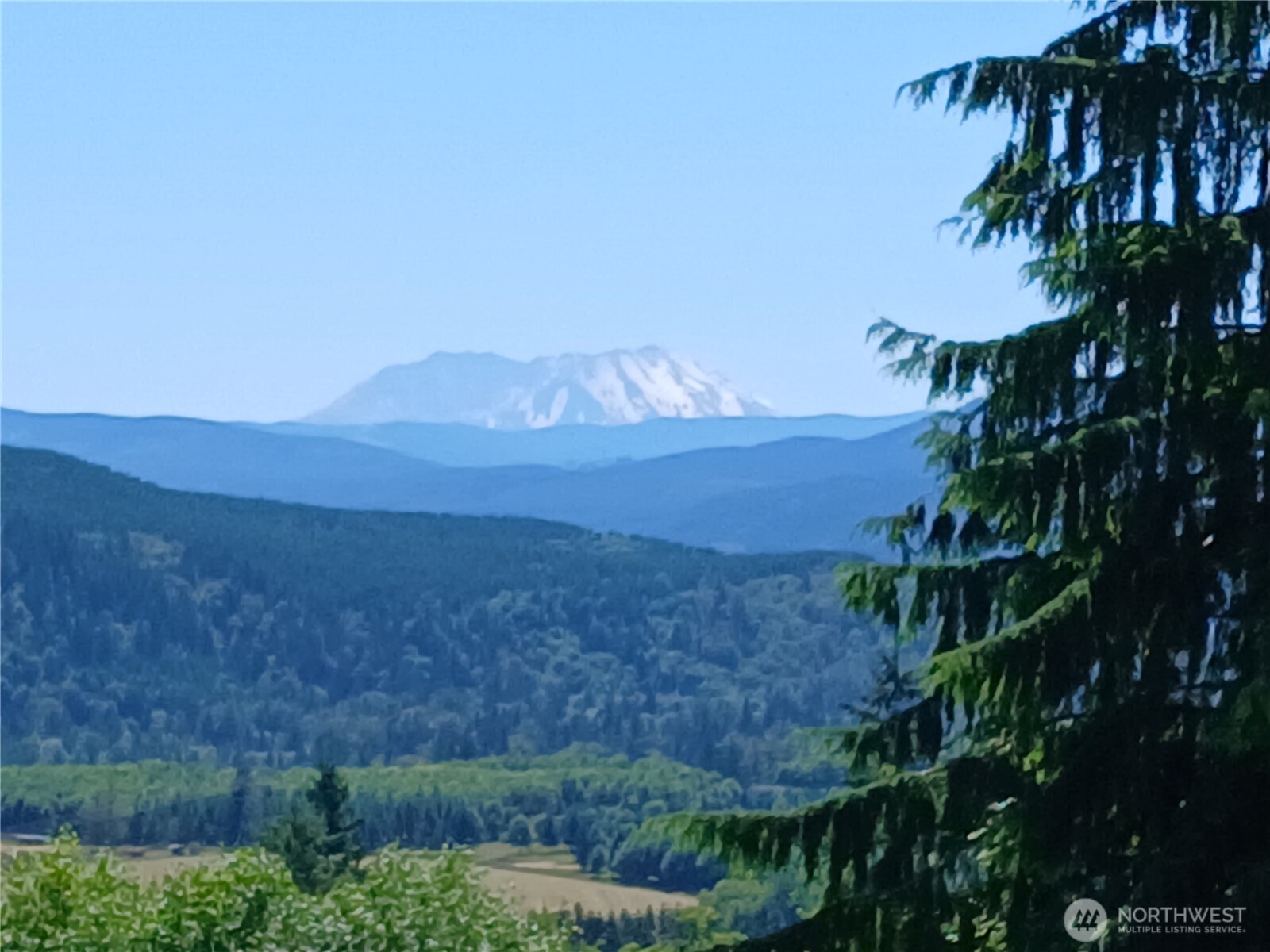 132 Salem Plant Road Silver Creek, WA 98585 - Photo 3 of 23 a view of a backyard of a house with a mountain