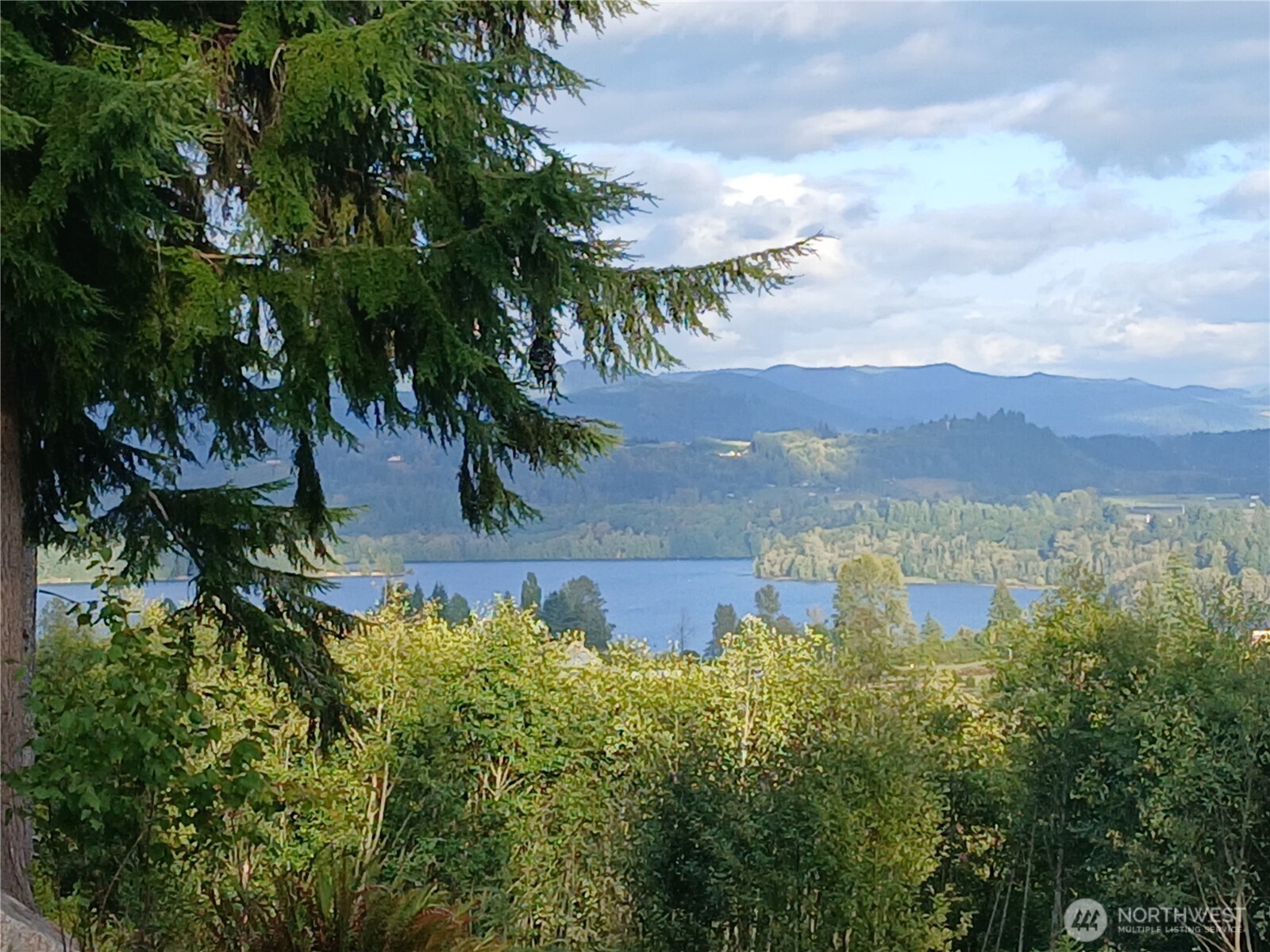 132 Salem Plant Road Silver Creek, WA 98585 - Photo 4 of 23 a view of a lake with a yard