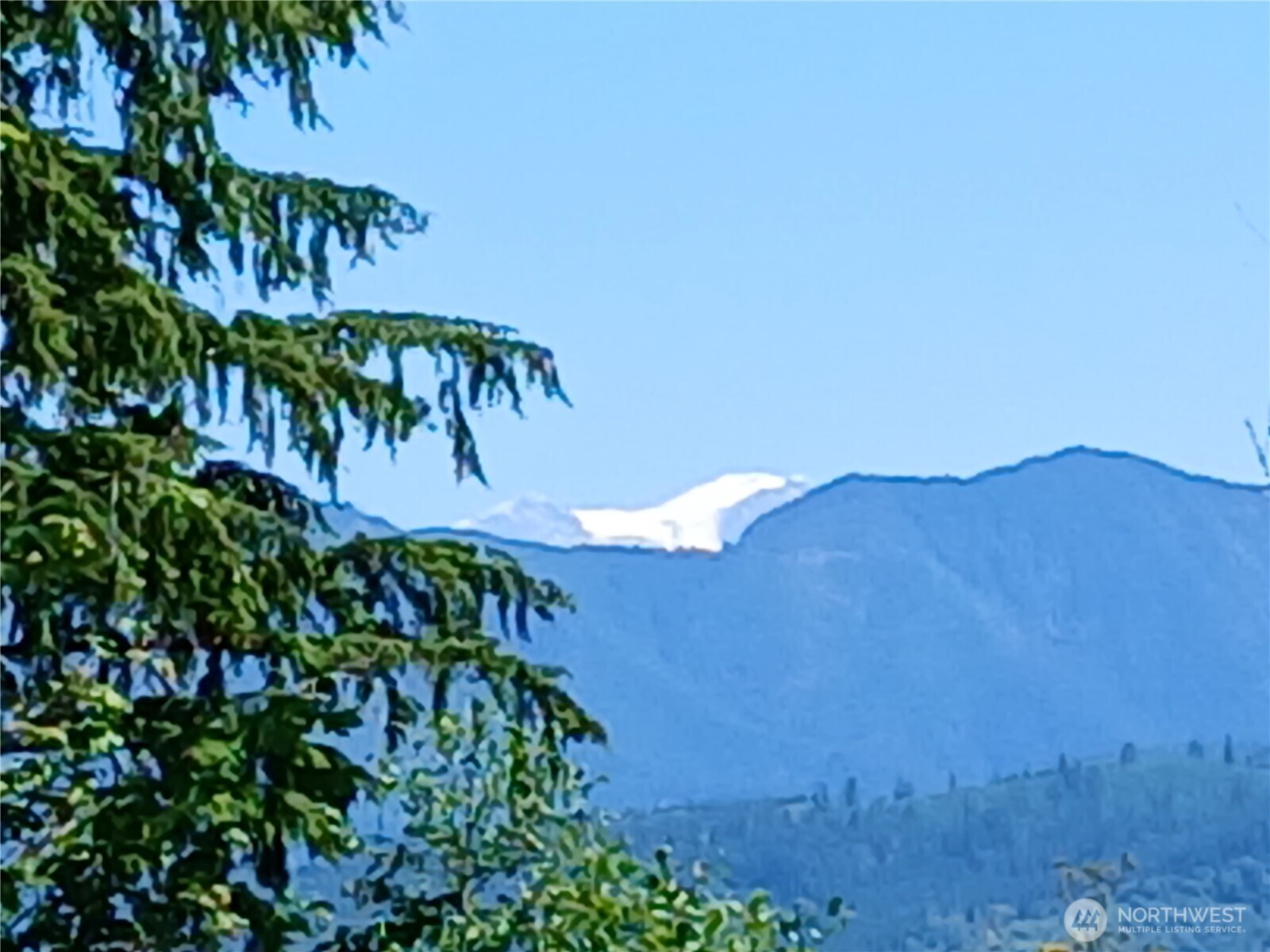 132 Salem Plant Road Silver Creek, WA 98585 - Photo 5 of 23 a view of a tree