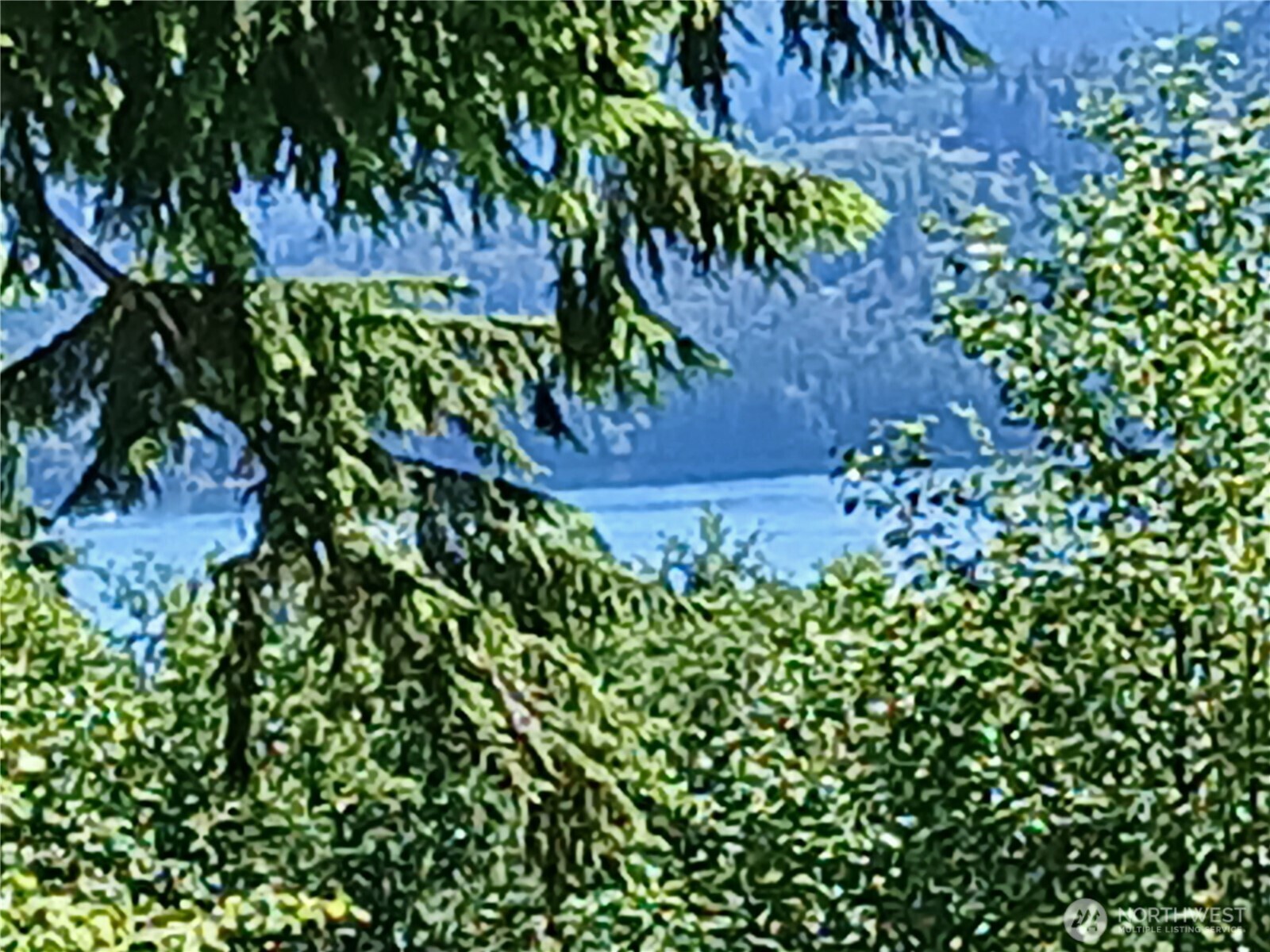 132 Salem Plant Road Silver Creek, WA 98585 - Photo 6 of 23 a view of a garden