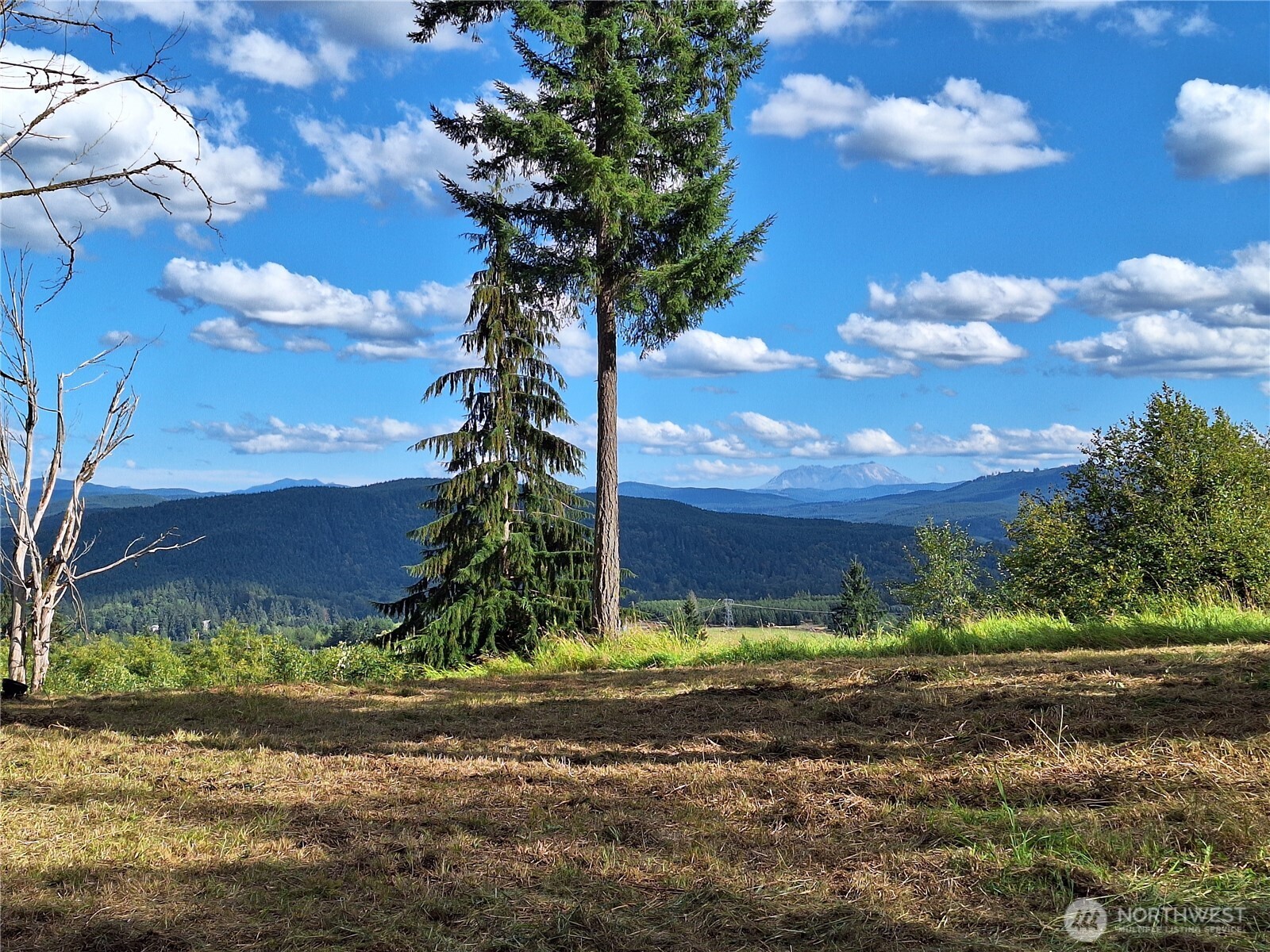 132 Salem Plant Road Silver Creek, WA 98585 - Photo 8 of 23 a view of a house with a yard
