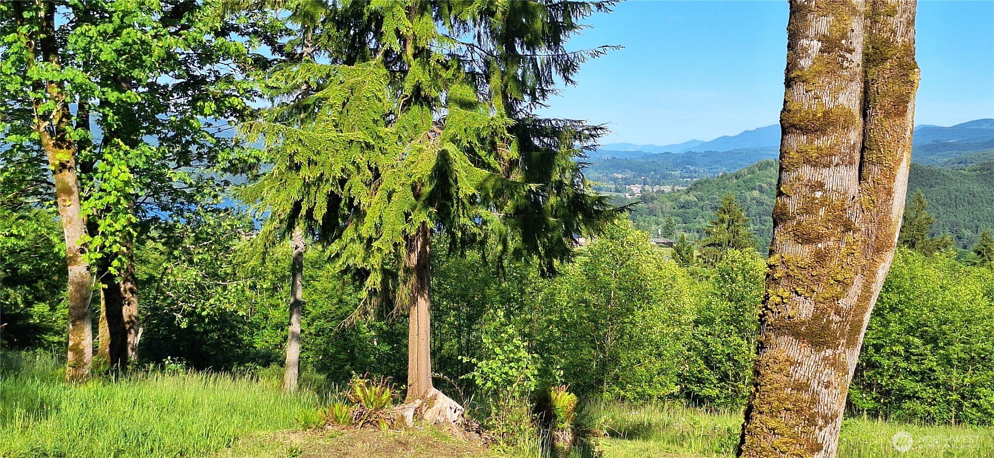 132 Salem Plant Road Silver Creek, WA 98585 - Photo 9 of 23 a view of a garden
