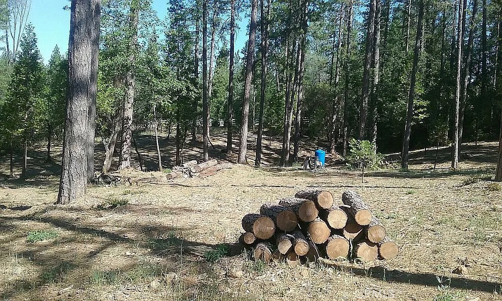 13279 Thoroughbred Loop Grass Valley, CA 95949 - Photo 4 of 6 a view of a park with swings and a fire pit