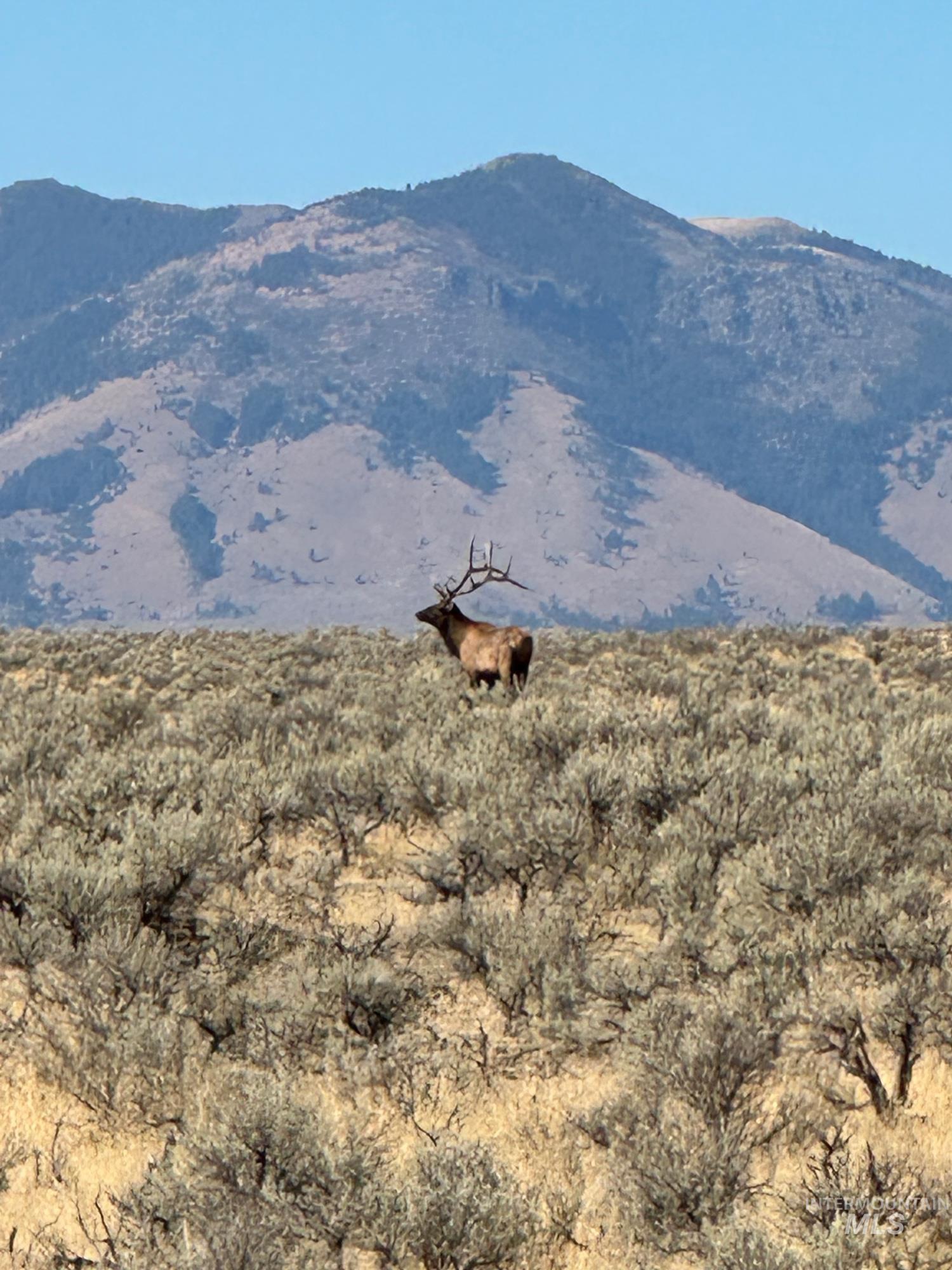 Tbd Tbd John Day Highway Ironside, OR 97908 - Photo 11 of 15 View of mountain backdrop