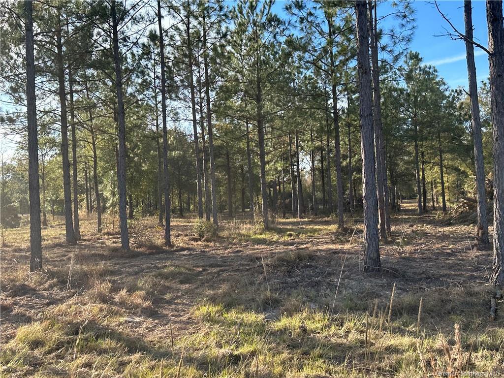 Conway Rosteet Road Ragley, LA 70657 - Photo 10 of 15 Gallery Image 10