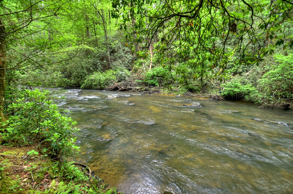 300 River Road Cherry Log, GA 30522 - Photo 103 of 119
