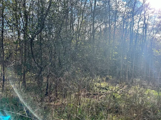 $6,000 | 0 Rt-58, Hammond, NY 13646