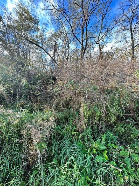 0 Rt-58 Hammond, NY 13646 - Photo 2 of 4