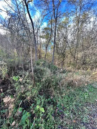 $6,000 | 0 Rt-58, Hammond, NY 13646