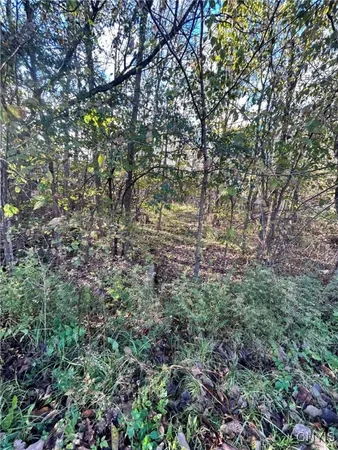 $6,000 | 0 Rt-58, Hammond, NY 13646