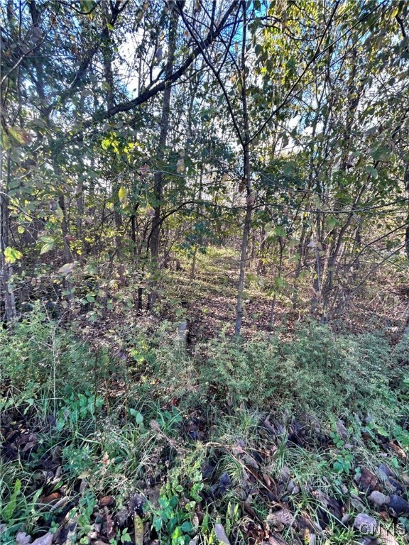 0 Rt-58 Hammond, NY 13646 - Photo 4 of 4