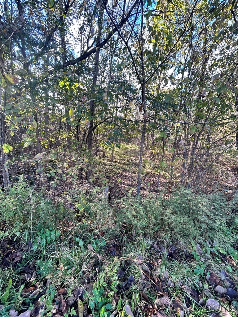 0 Rt-58 Hammond, NY 13646 - Photo 4 of 4