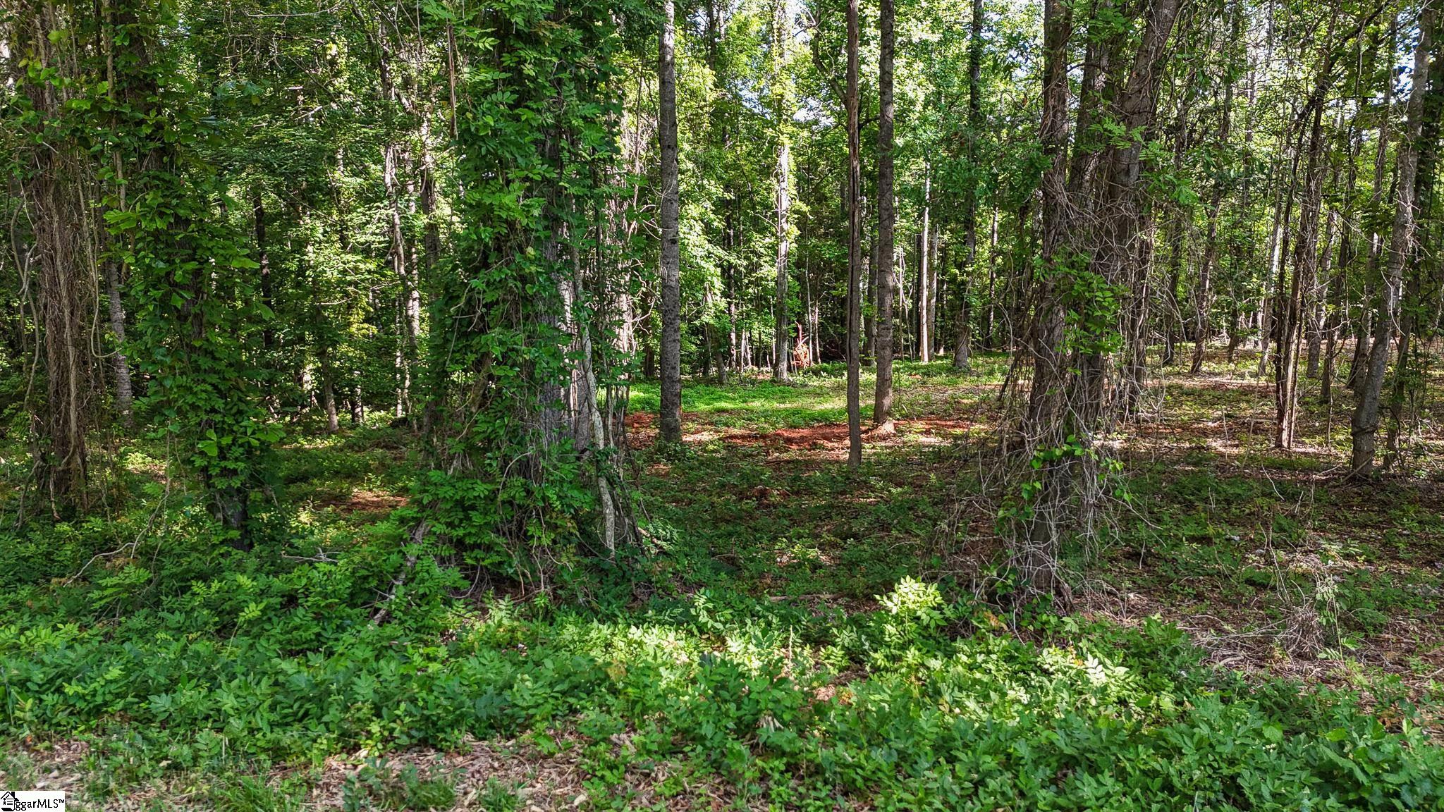 7 Guest Circle Anderson, SC 29621 - Photo 7 of 20