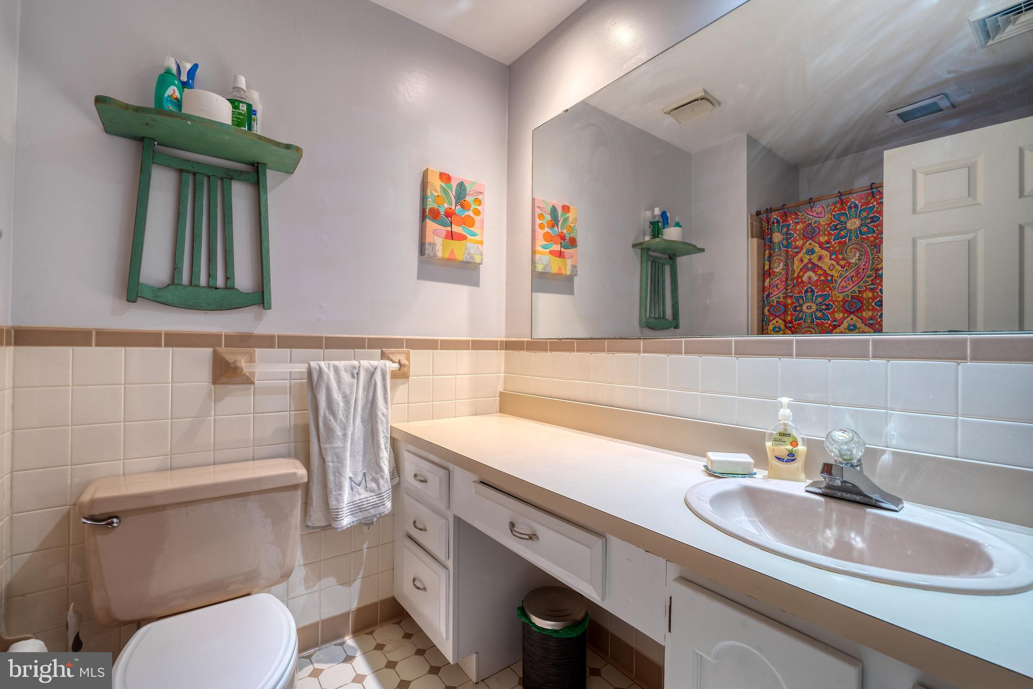 107 Birch Run Road Chestertown, MD 21620 - Photo 27 of 31 Hall bath