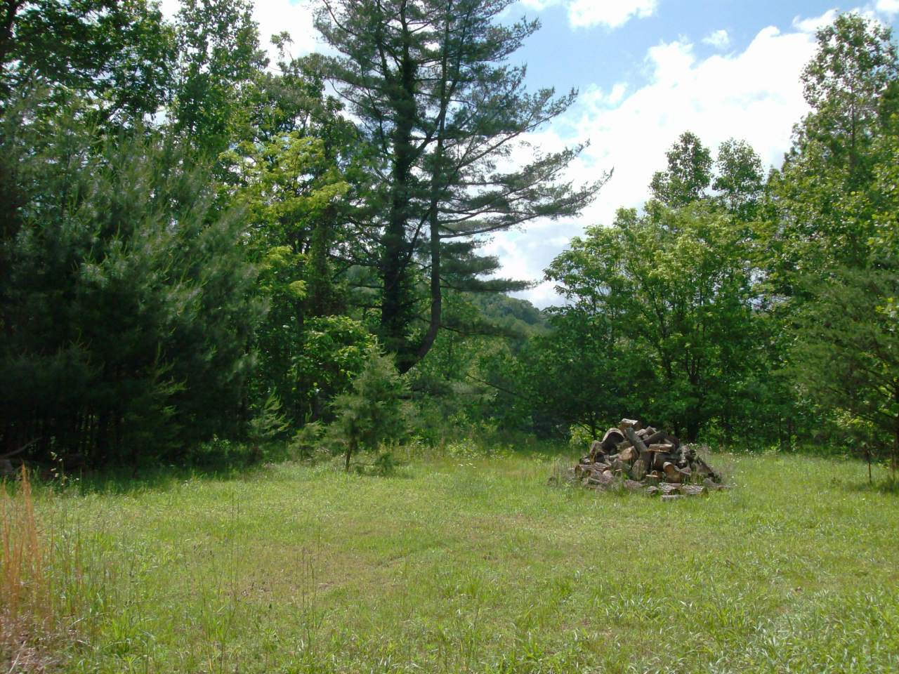6630 Franklin Road Boones Mill, VA 24065 - Photo 19 of 20 Land