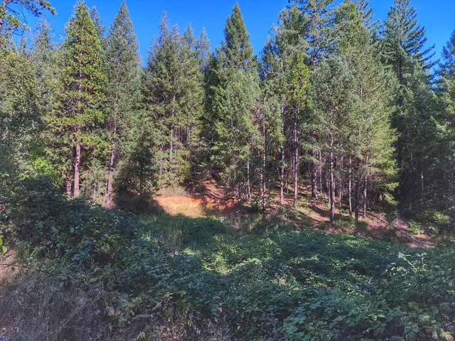 a front view of a house with yard