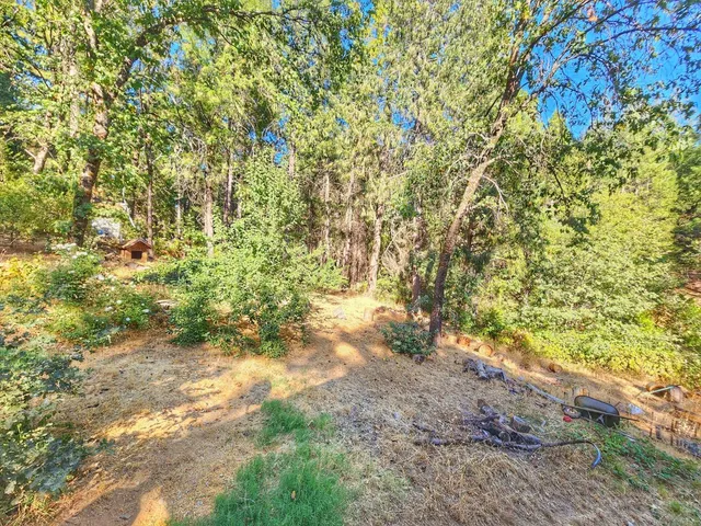 $360,000 | 3221 Brauer Road, Georgetown, CA 95634