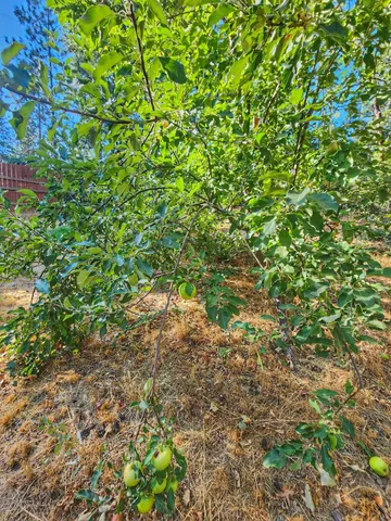 $360,000 | 3221 Brauer Road, Georgetown, CA 95634