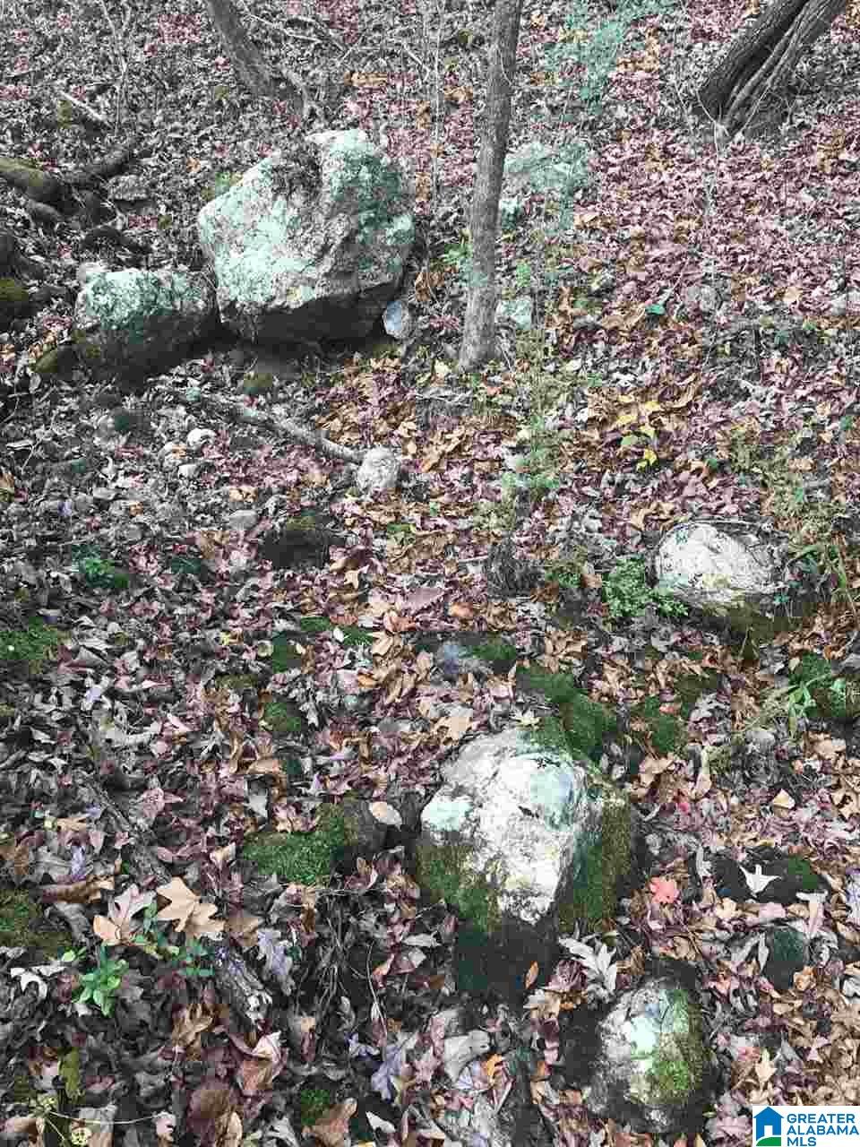3415 Logan Martin Dam Road, Unit 48 / ACRES Vincent, AL 35178 - Photo 29 of 32