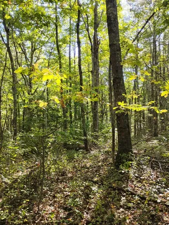 $65,000 | 2 Bicknell Road, Belmont, ME 04952