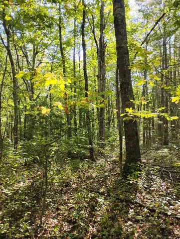 $65,000 | 2 Bicknell Road, Belmont, ME 04952