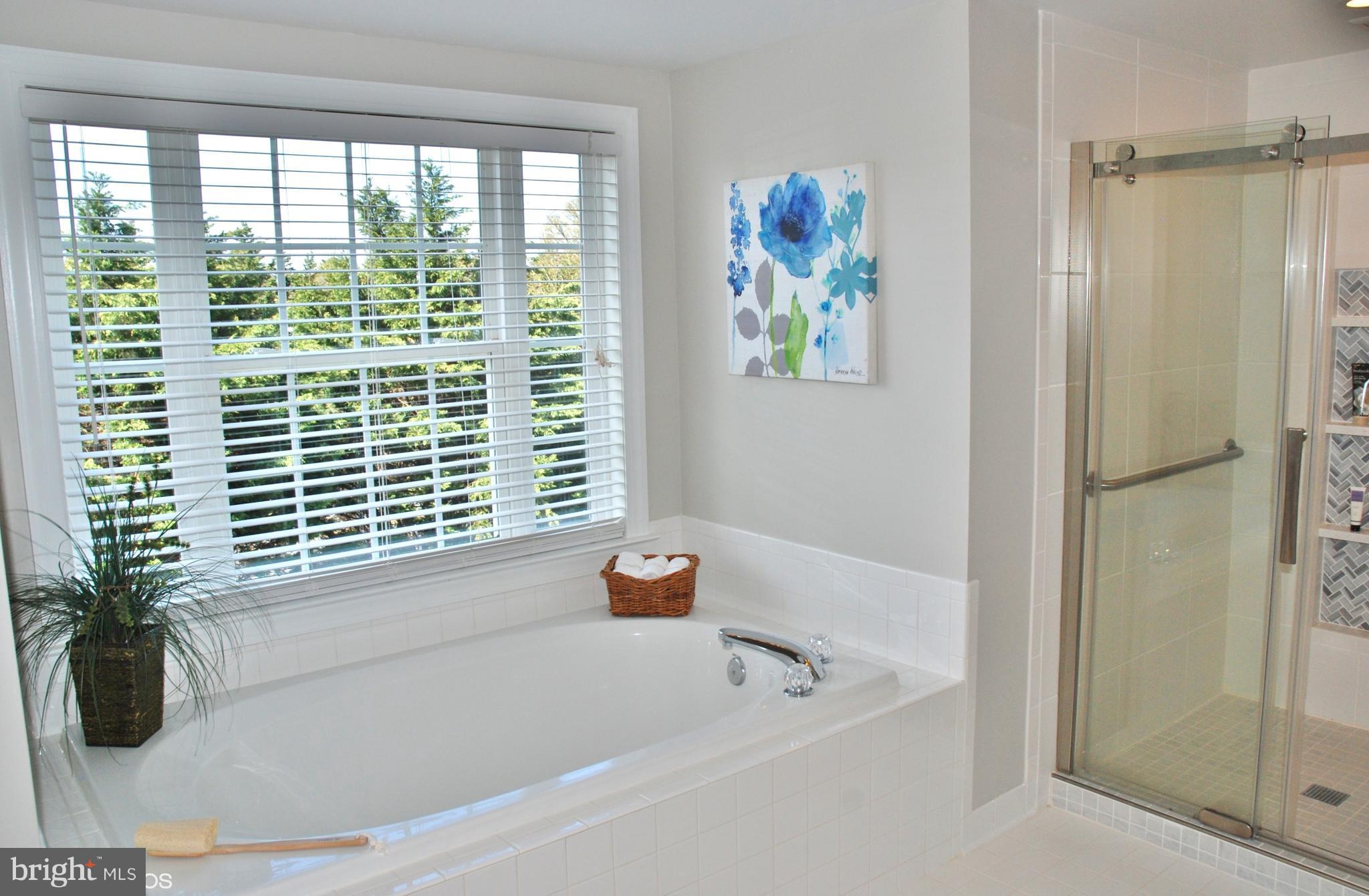 16 Bonifant Road Silver Spring, MD 20905 - Photo 21 of 28 Bath (Master)