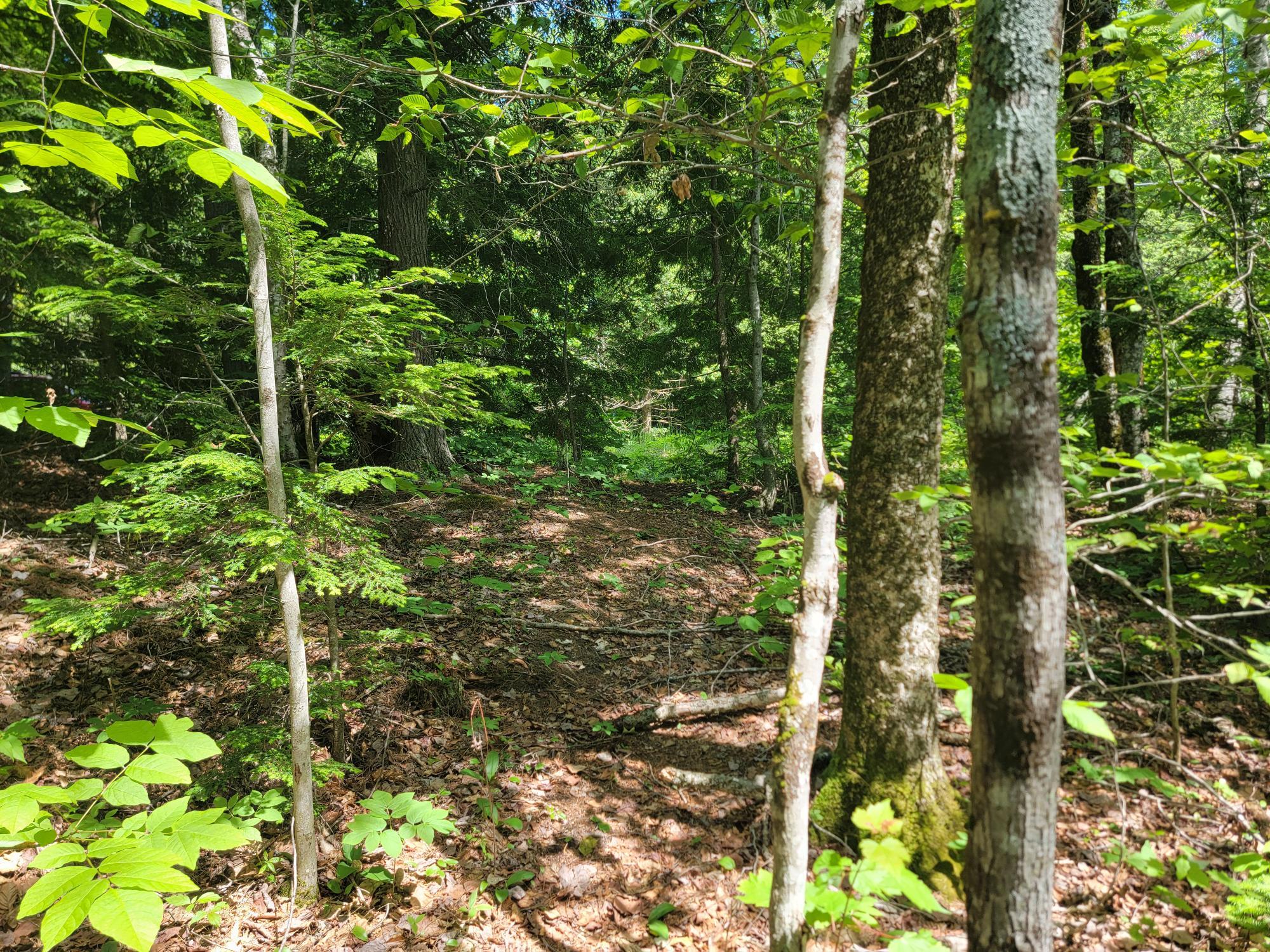 477 Hadley Mill Road Jackson, ME 04921 - Photo 5 of 32