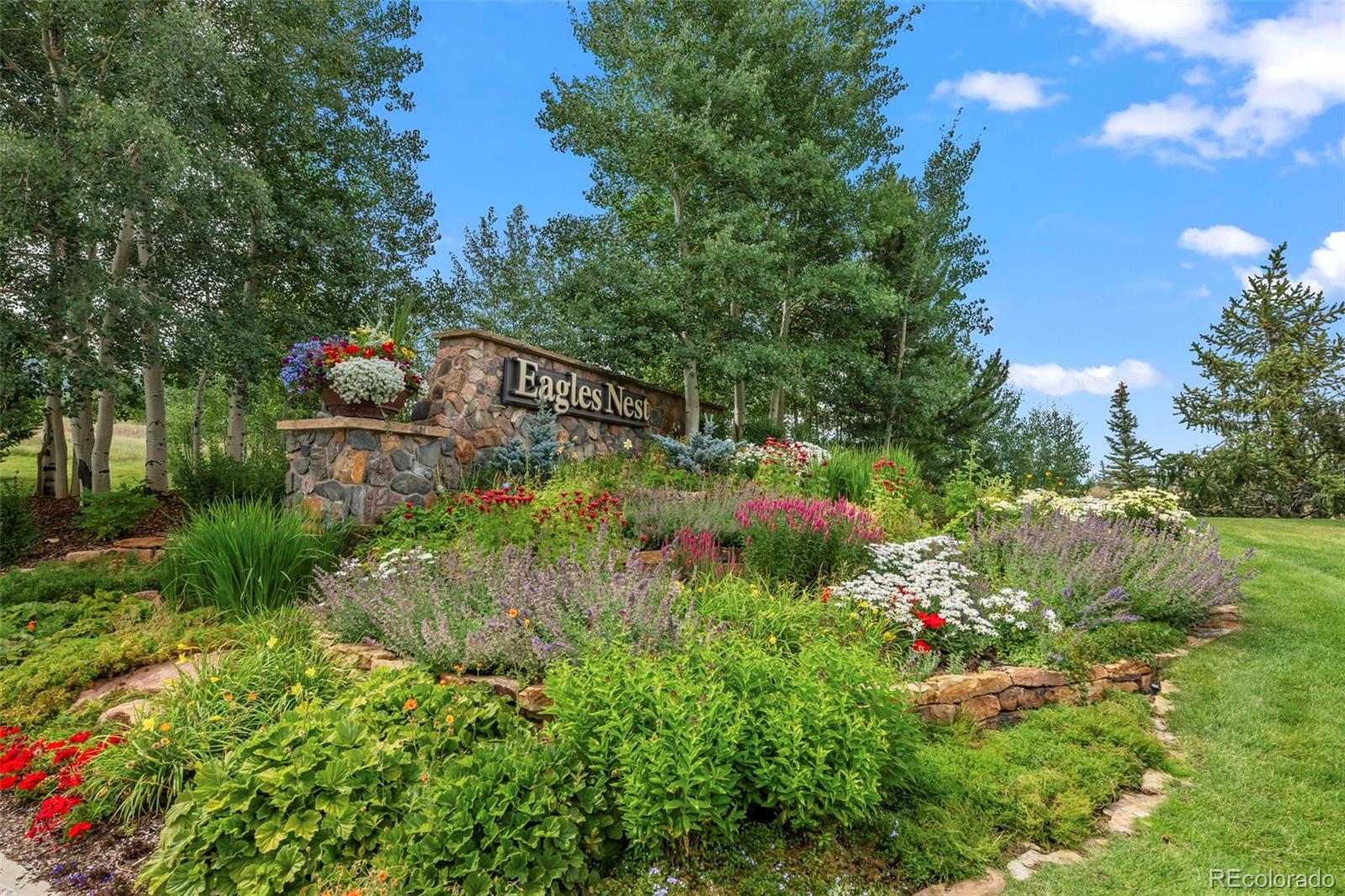 560 Two Cabins Drive Silverthorne, CO 80498 - Photo 47 of 49 a backyard of a house with lots of green space and plants