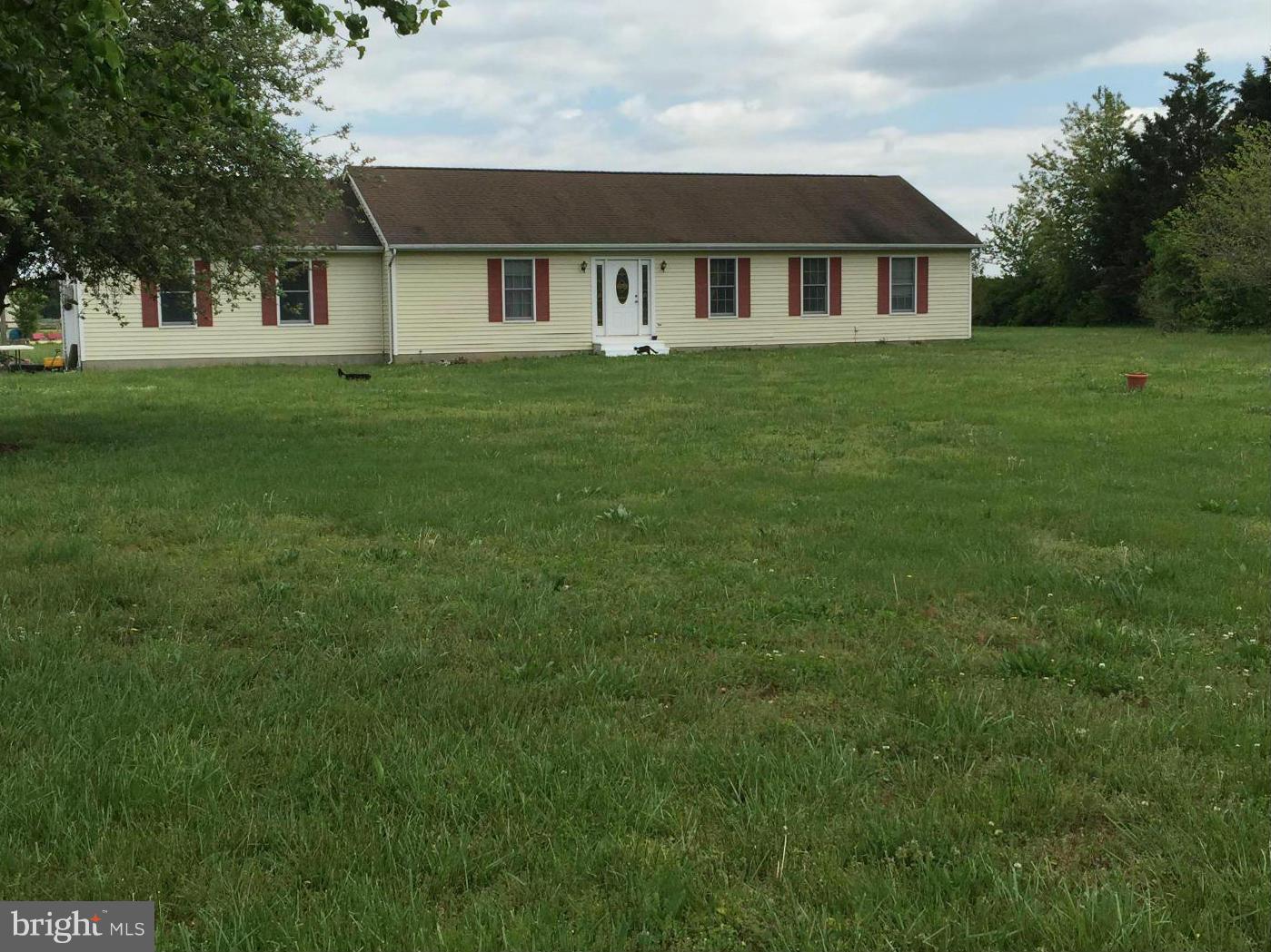 23581 Thawley Road Denton, MD 21629 - Photo 1 of 11 Exterior (Front)