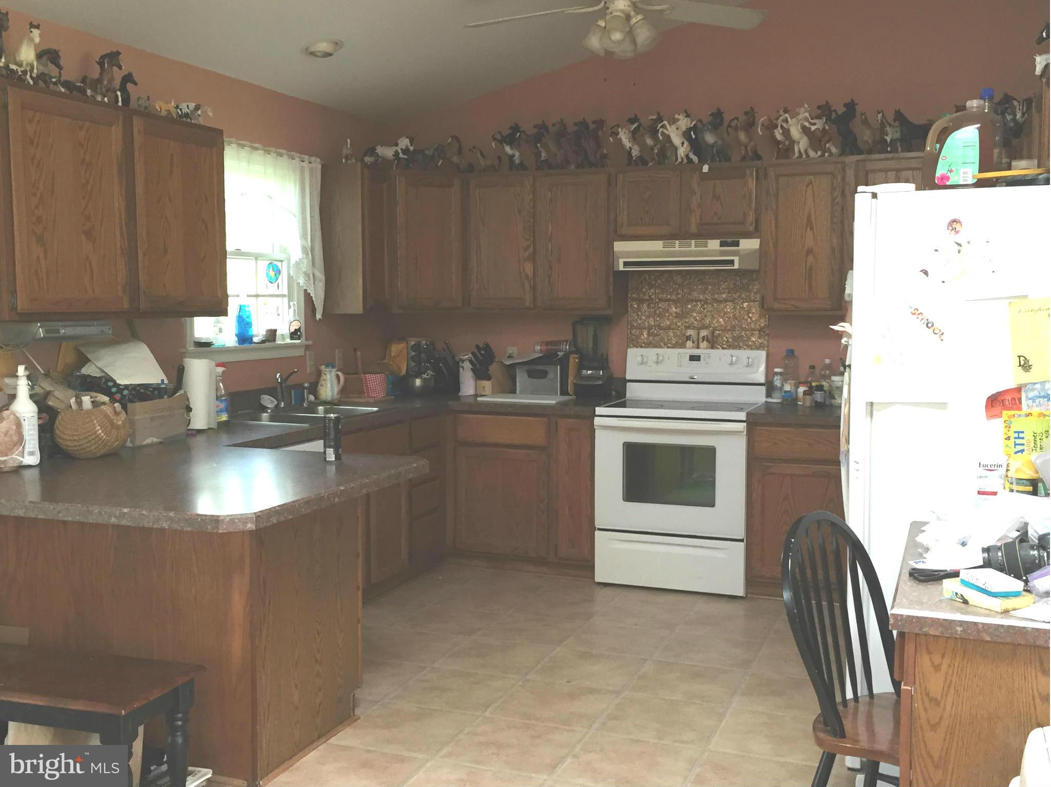 23581 Thawley Road Denton, MD 21629 - Photo 2 of 11 Kitchen