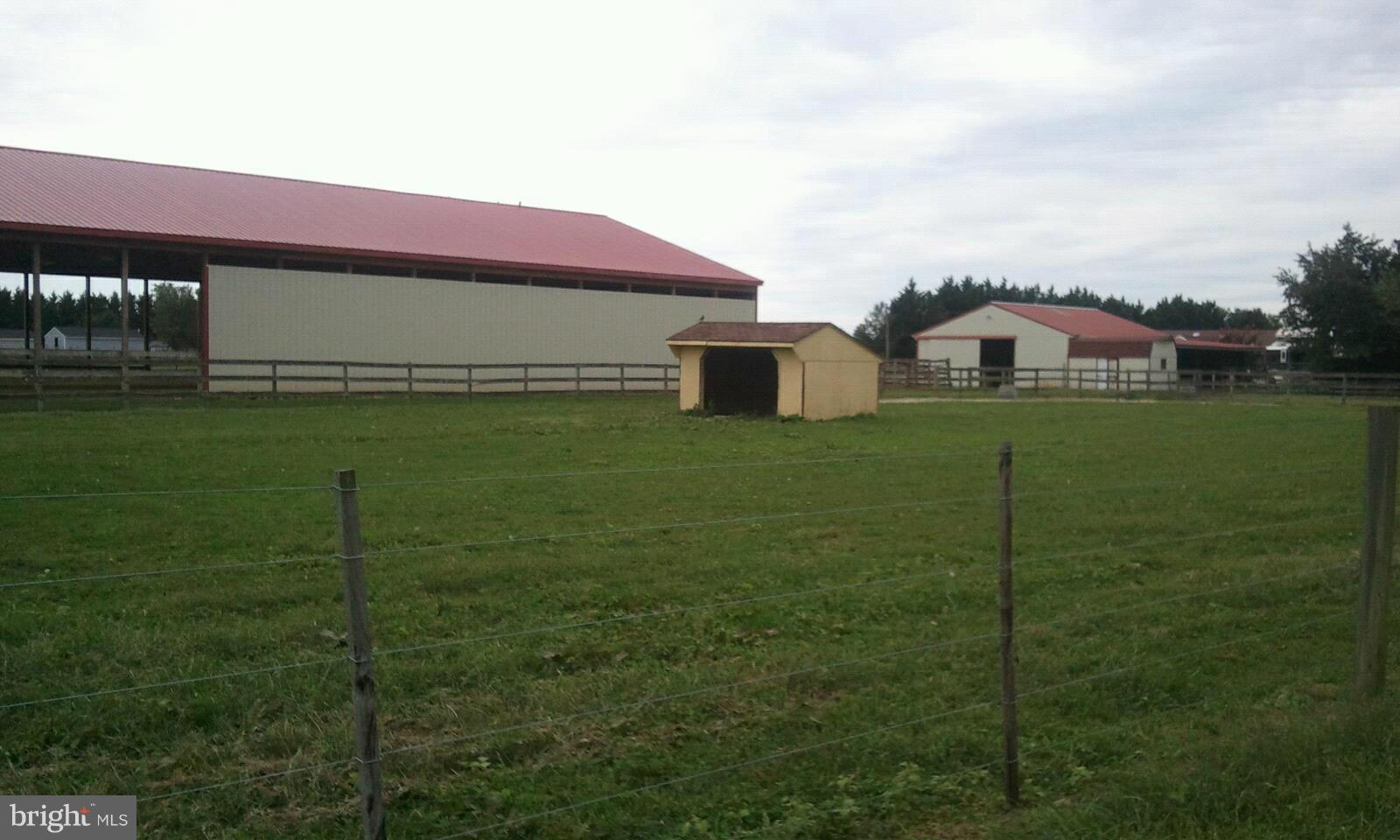 23581 Thawley Road Denton, MD 21629 - Photo 11 of 11 pasture