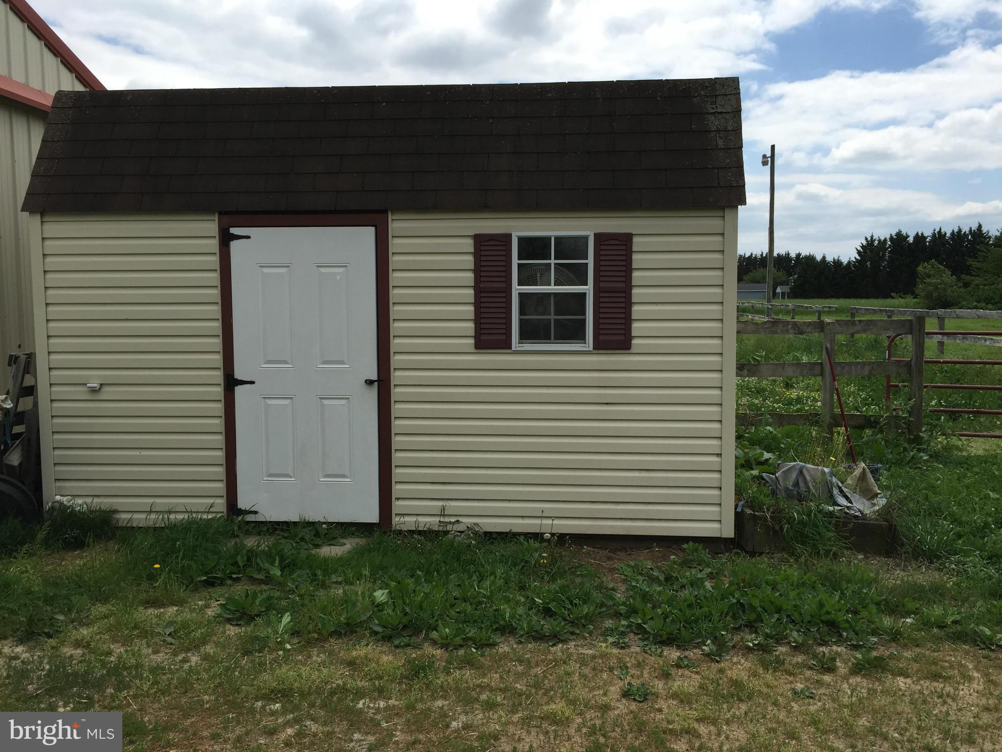 23581 Thawley Road Denton, MD 21629 - Photo 5 of 11 Shed
