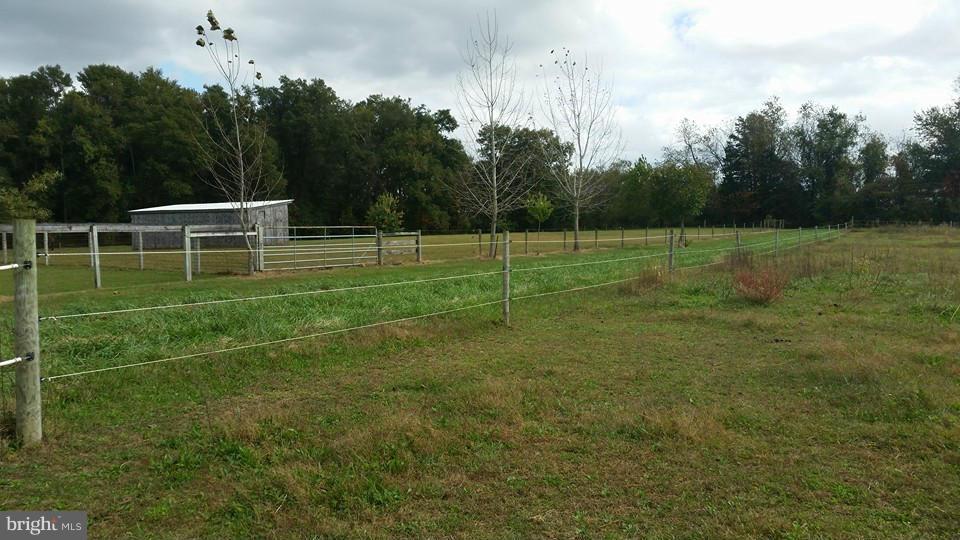 23581 Thawley Road Denton, MD 21629 - Photo 7 of 11 pasture