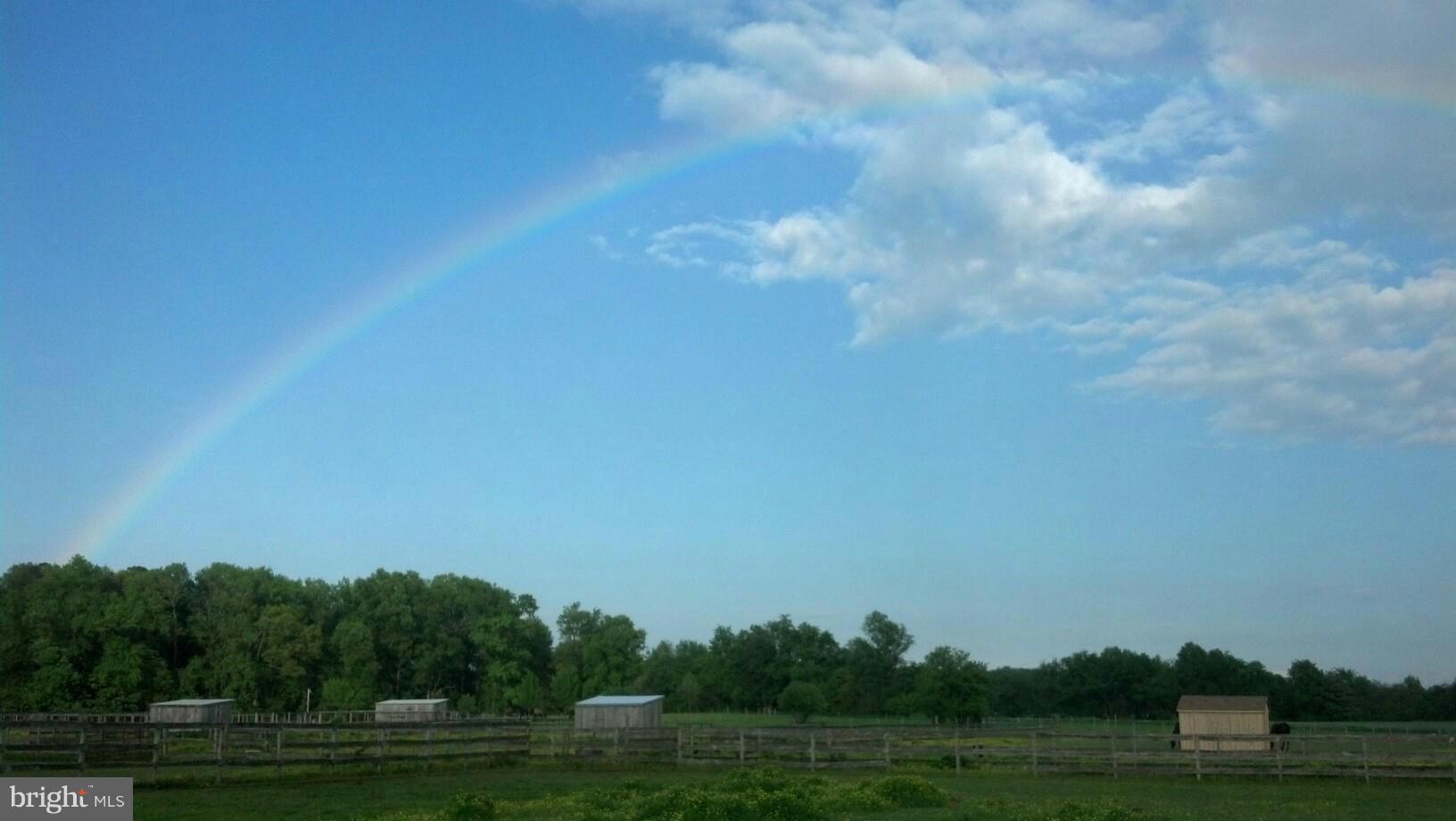 23581 Thawley Road Denton, MD 21629 - Photo 8 of 11 pastures