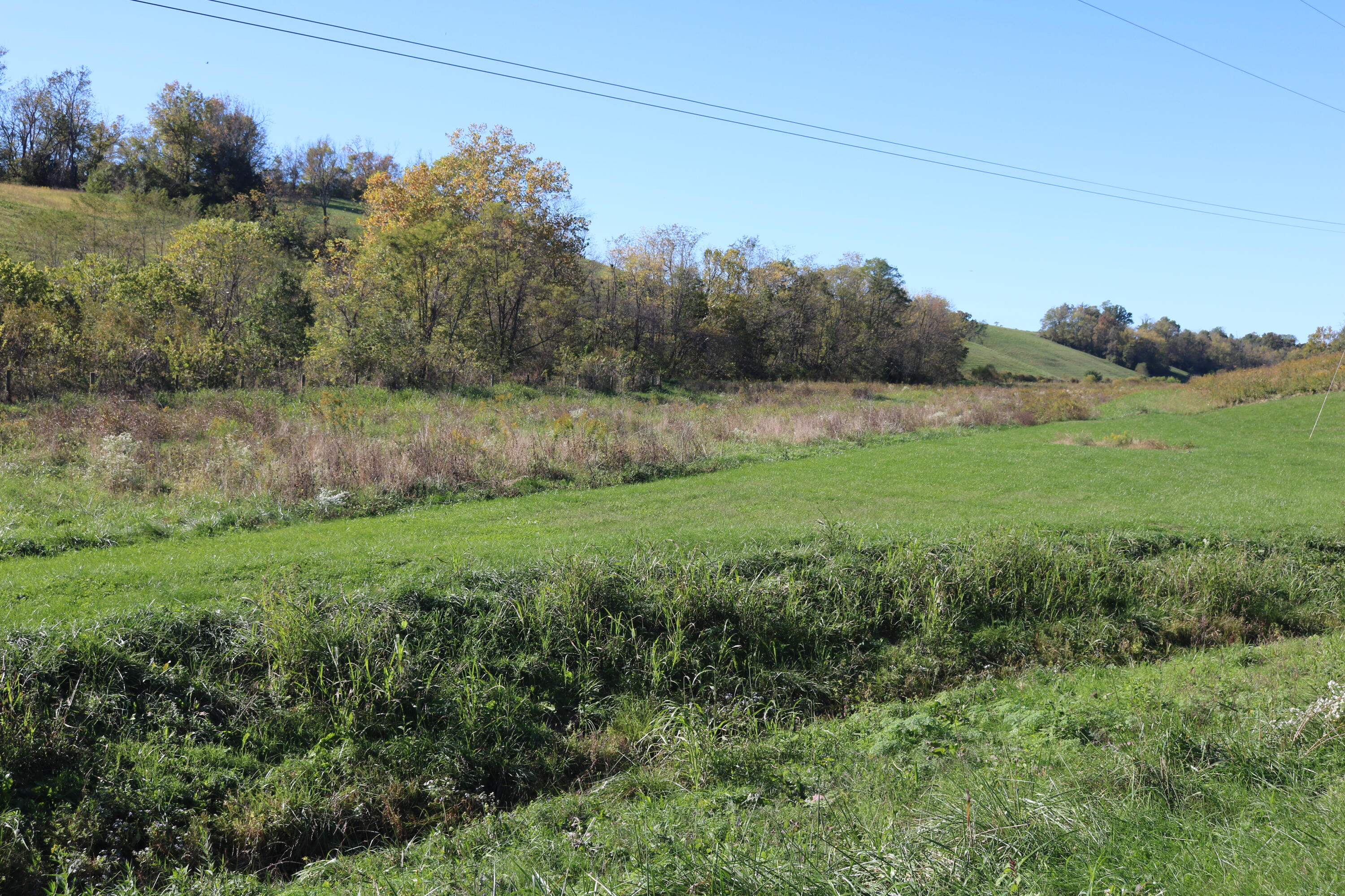 3453 East Union Road Carlisle, KY 40311 - Photo 22 of 70 IMG_7121