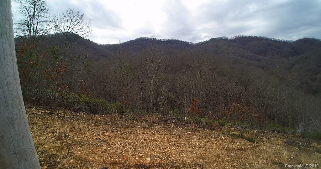 0 Cheek Cir Road Whittier, NC 28789 - Photo 14 of 33 a view of a yard