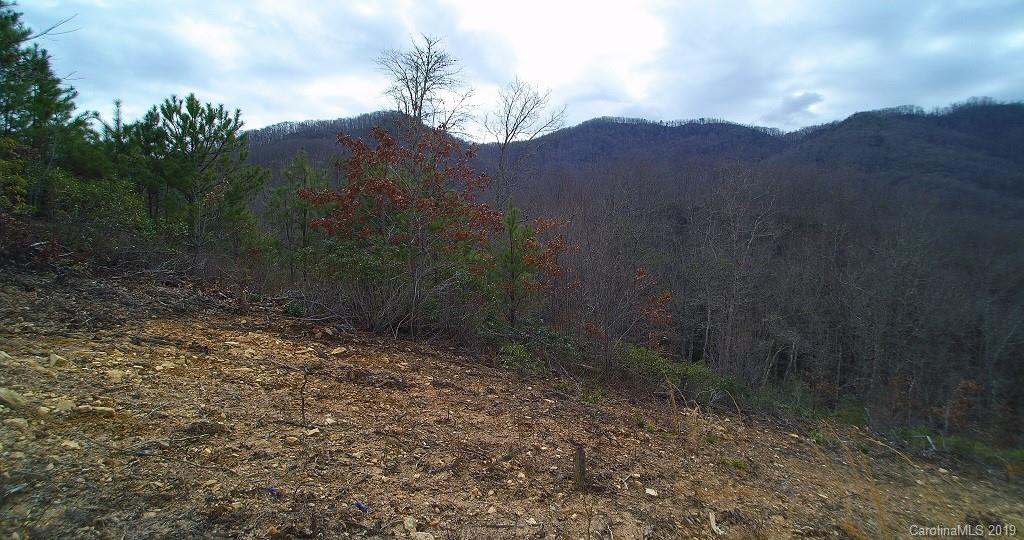 0 Cheek Cir Road Whittier, NC 28789 - Photo 15 of 33 a view of a yard with an outdoor space