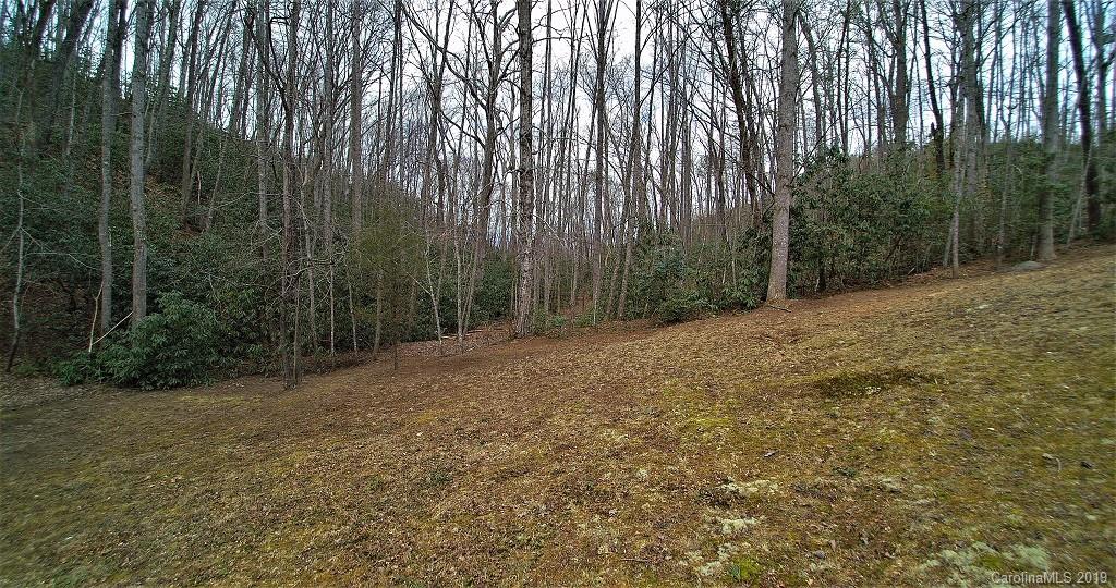 0 Cheek Cir Road Whittier, NC 28789 - Photo 17 of 33 a view of backyard with green space
