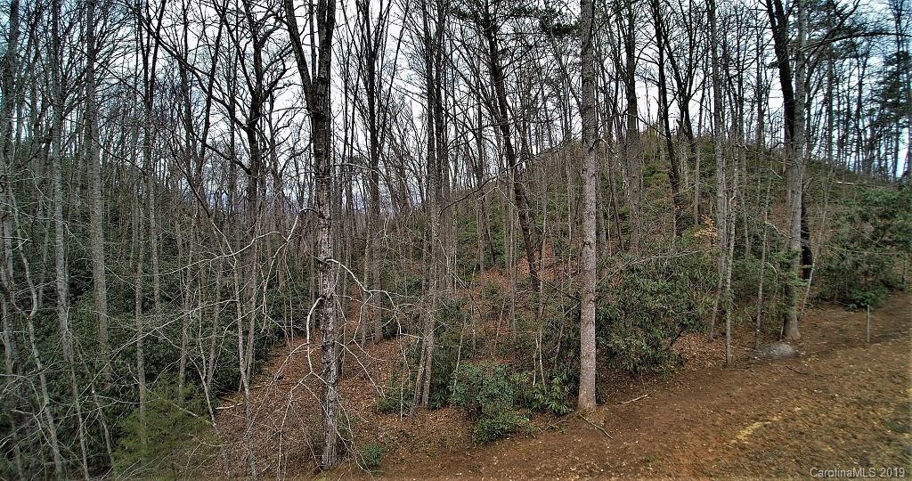 0 Cheek Cir Road Whittier, NC 28789 - Photo 18 of 33 a view of forest