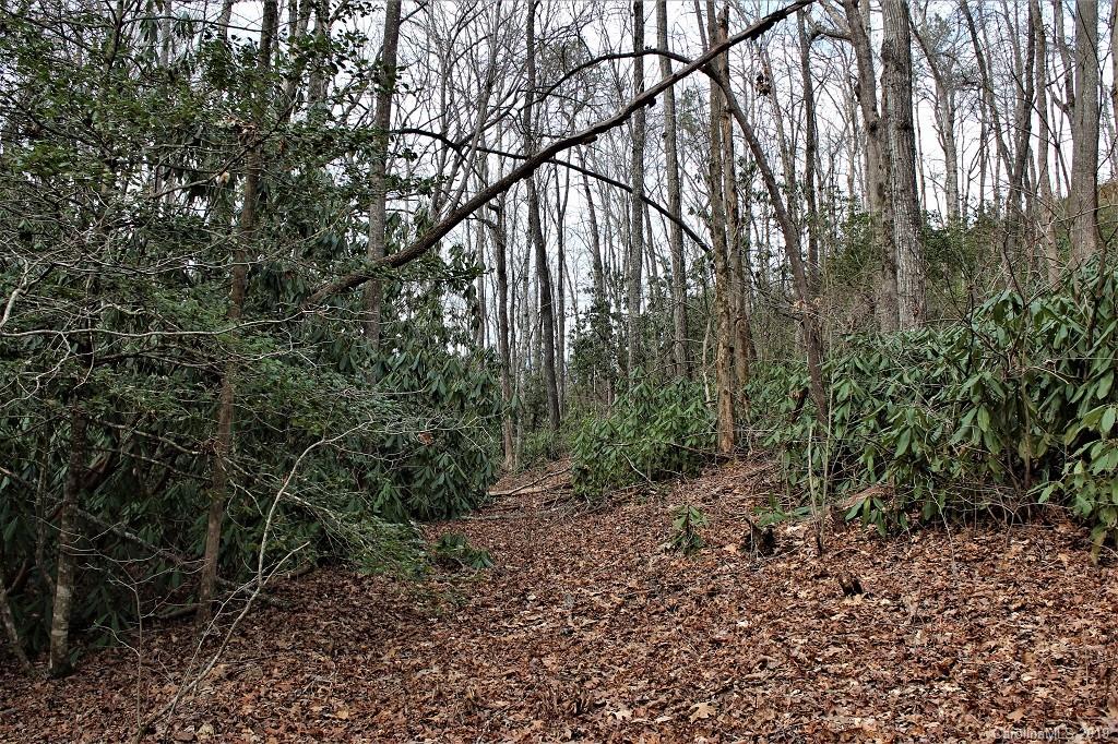 0 Cheek Cir Road Whittier, NC 28789 - Photo 23 of 33 a backyard of a house with lots of green space