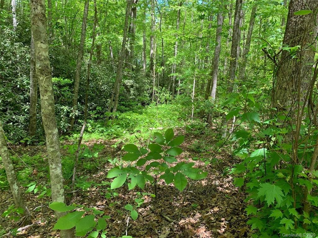 0 Cheek Cir Road Whittier, NC 28789 - Photo 28 of 33 a view of a lush green forest