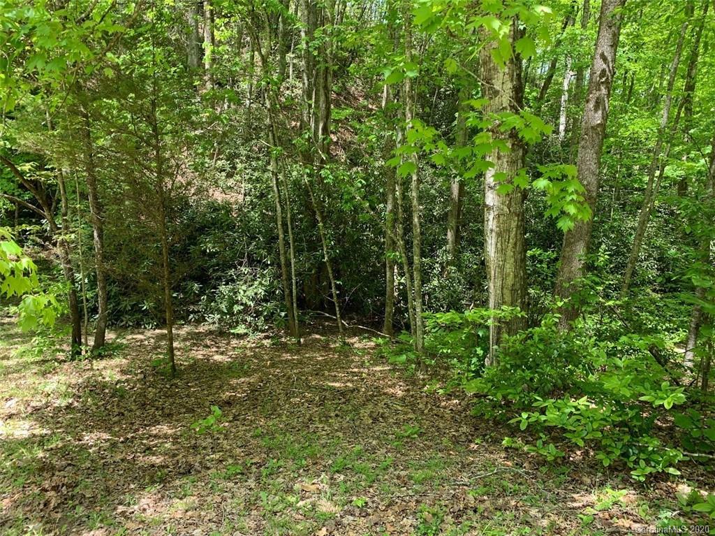 0 Cheek Cir Road Whittier, NC 28789 - Photo 29 of 33 a view of outdoor space and trees