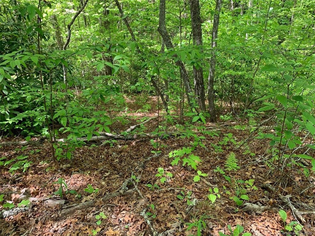0 Cheek Cir Road Whittier, NC 28789 - Photo 30 of 33 a view of a lush green forest
