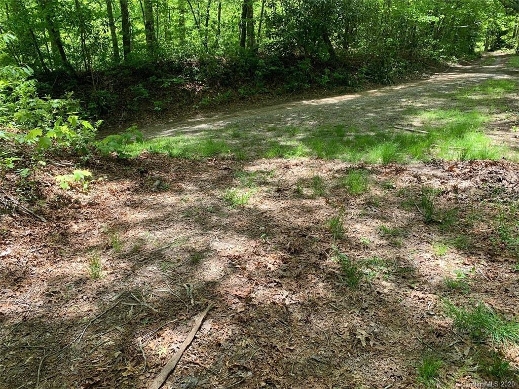 0 Cheek Cir Road Whittier, NC 28789 - Photo 31 of 33 a view of a lush green space