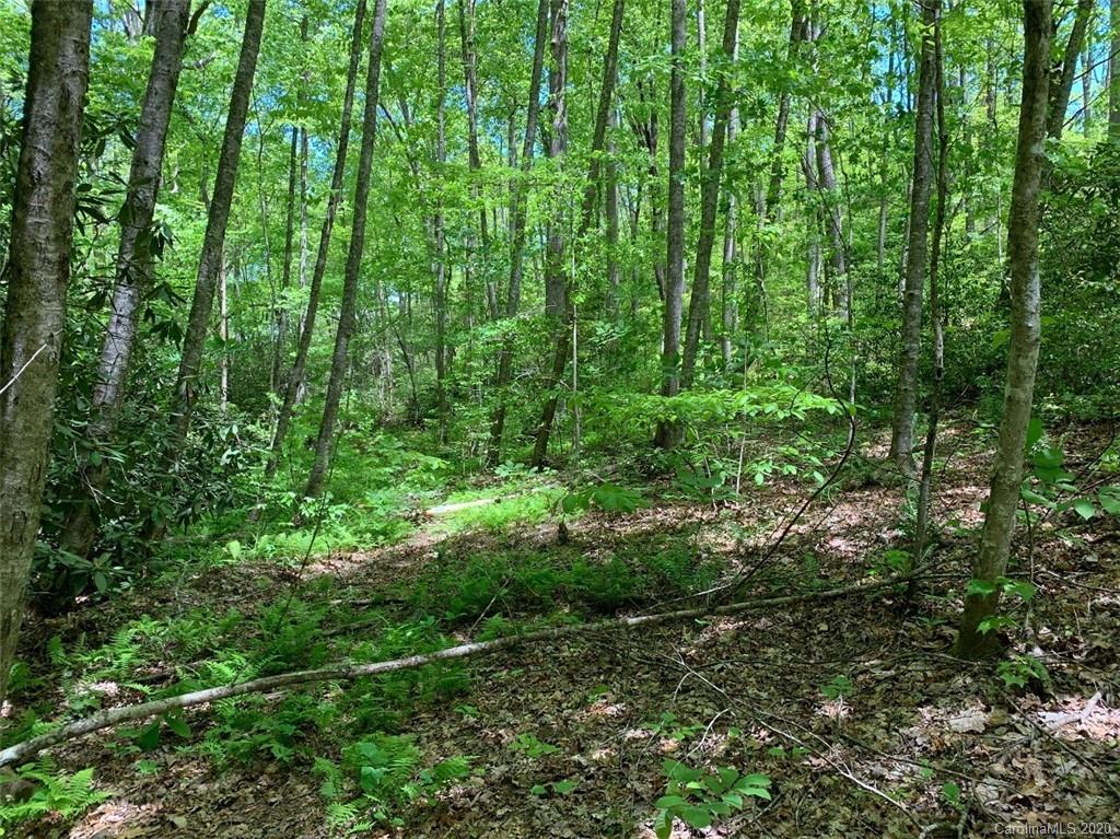 0 Cheek Cir Road Whittier, NC 28789 - Photo 33 of 33 a view of a garden
