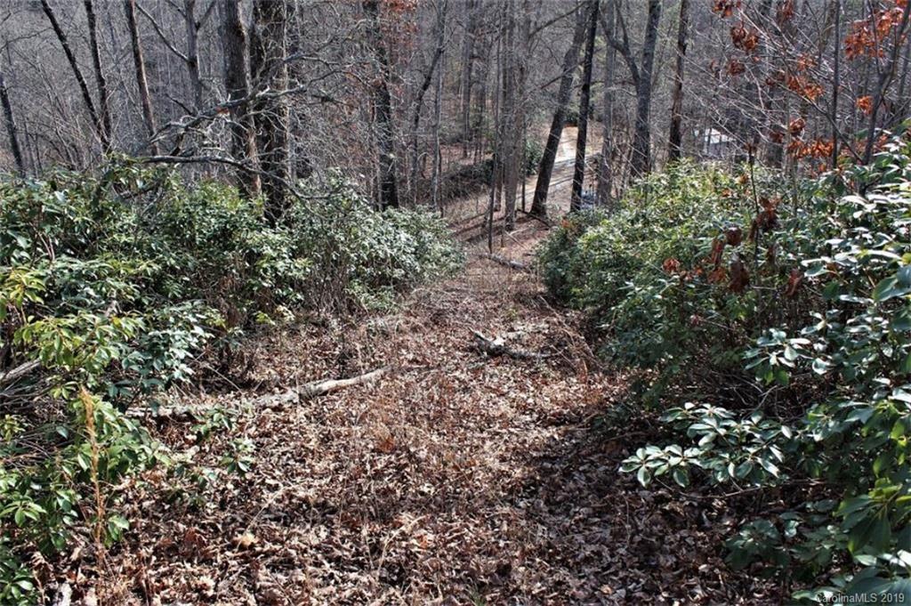 0 Cheek Cir Road Whittier, NC 28789 - Photo 9 of 33 a view of a large yard with lots of bushes