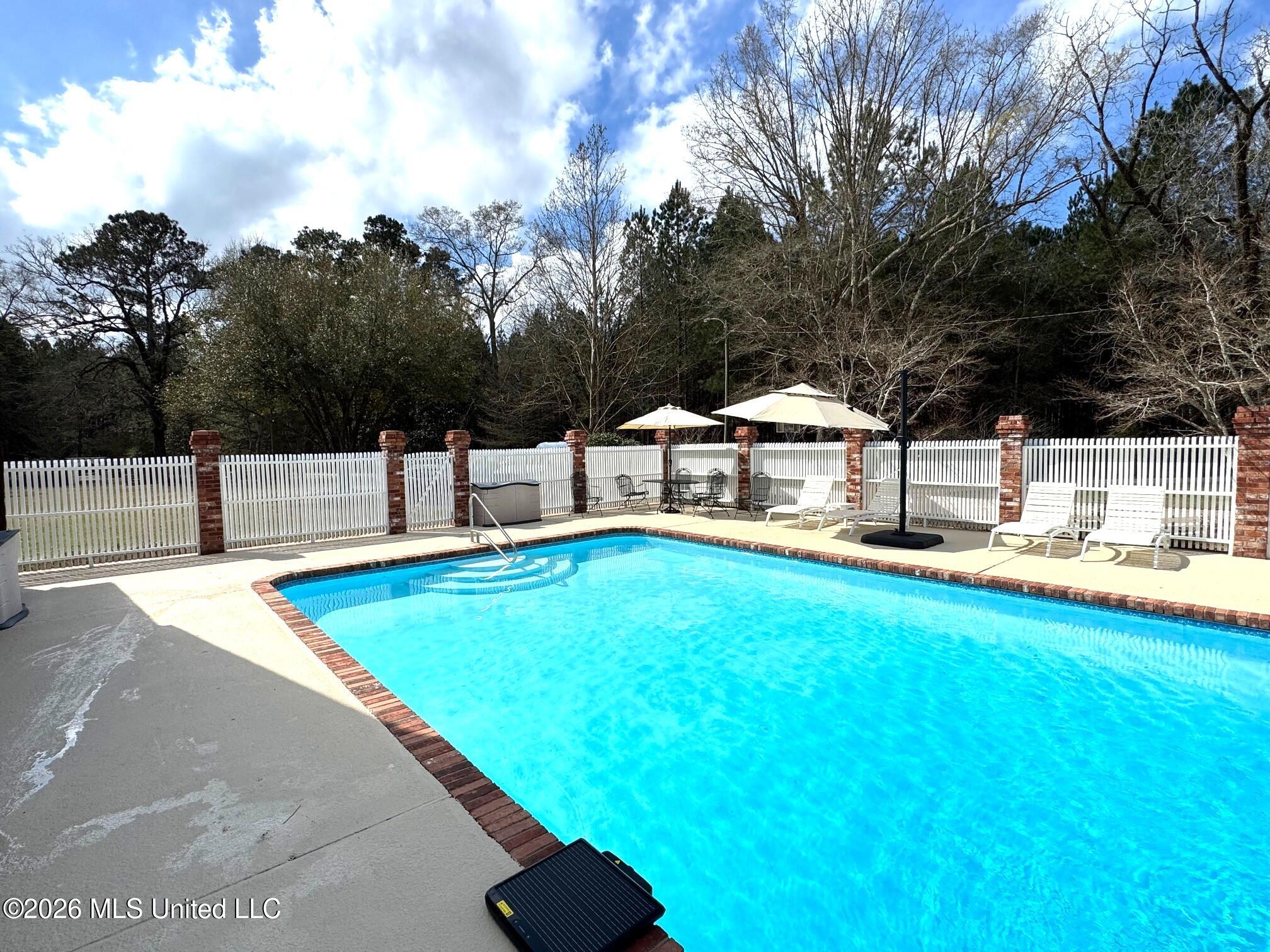 2053 Osyka Progress Road Osyka, MS 39657 - Photo 30 of 79 Pool