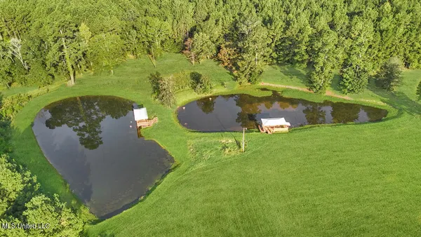 $1,557,000 | 2053 Osyka Progress Road, Osyka, MS 39657
