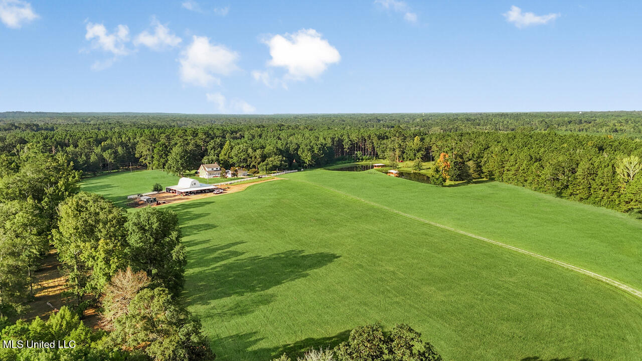 2053 Osyka Progress Road Osyka, MS 39657 - Photo 77 of 79 From Pike 93 to house
