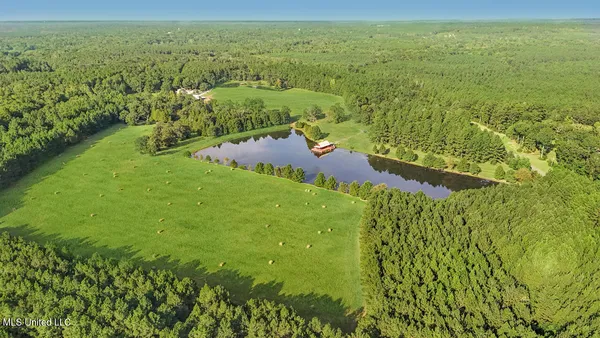 $1,557,000 | 2053 Osyka Progress Road, Osyka, MS 39657